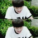 수풀 Daum카페