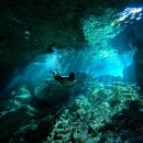 수영초교 | 사이판 그로토 스노클링 체험 다이빙 후기 수영초보도 인생경험 가능해요