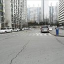 그린 (212) 이미지