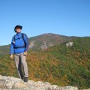 대청공원 공중화장실 이미지