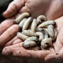 문헌농장 이미지