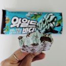 민초 | 와일드바디 민트초코 솔직후기 민초 파는 곳 칼로리