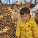 경일공원 이미지