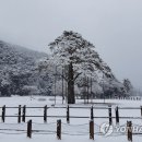 일원본-103 이미지