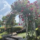 매산1리마을회관 이미지