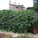 천화농장 이미지