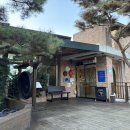 뉴수성하와이 이미지