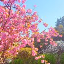 유엔기념공원주차장 이미지