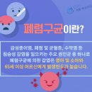 뉴서울의원 이미지