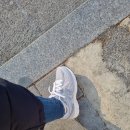 뉴발란스엔터식스안양