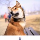 볼트