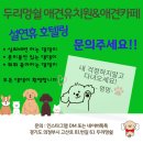 두리멍쉴 애견유치원 이미지
