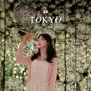 팀랩 | 도쿄 가볼만한 곳 팀랩 보더리스 예약 방문후기