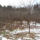 한성농원 이미지