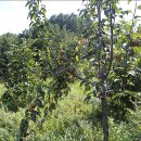 원산농장 이미지