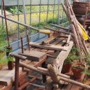 영주농장 이미지