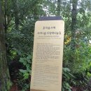 (주)사려니 이미지