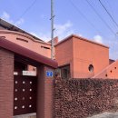 아레나로하 이미지