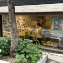 구스토타코 이미지