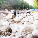 제천 월악산국립공원내 계곡접한 신축펜션 급매 이미지