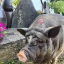 덕바위마을 이미지