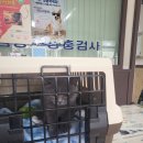 한호동물병원 이미지