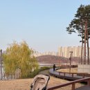 밀리네마트 | 미마 휴대용 유모차 밀리와 함께한 4개월, 실제 사용 후기🤍