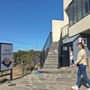 빨간머리몽 게스트하우스 | 제주도 월정리 숙소 : 빨간머리몽 게스트하우스 + 스냅촬영, 새벽 오름투어