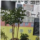 우리공인중개사사무소 | 화성남양읍부동산 화성 남양에서 신뢰받는 부동산 파트너 이야기