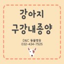 디엔씨 동물병원 이미지