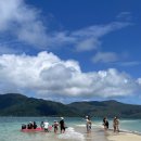 위트선데이 이미지