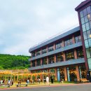 카페더숲 이미지