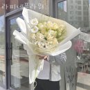 라피네플라워 이미지