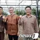 민주농장 이미지