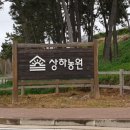 고창농원 이미지
