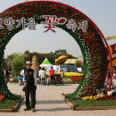 호수공원14로 이미지