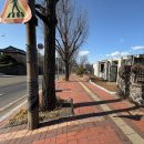 남산스토리 나인 | 남산 백범광장 주위 카페퍼즐&amp;마뫼 내돈내산 후기~~