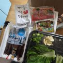 올바른 새움푸드