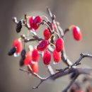 허종한의원 이미지