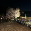 텍사스노래연습장 | [경북 영천 맛집] 천리향텍사스바비큐 솔직 후기: 단체회식 가족모임 추천, 무료노래방 운영 굿!