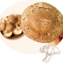 현호농장 이미지