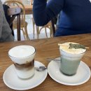 제이애견샵 | 대전 태평동 유럽 감성 카페 추천 제이 하브 | 쑥 크림라떼 맛집 내돈내산 후기