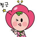 가람약품 이미지
