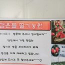 검은들농장 이미지