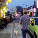 캡틴게임장 이미지