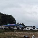 매일낚시터 | [한주수산 좌대낚시터] 태안 안면도 쭈꾸미 갑오징어 낚시 후기