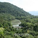 우림파크 이미지