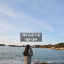 현풍건어물 - 달성군 비슬로130길 43 | 제주동문시장 내돈내산 간식 쇼핑 후기 약과 두쫀쿠 땅콩찰떡파이 아이들 선물까지 알차게 준비
