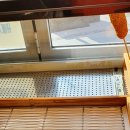 못난이꽈배기 홍성점 이미지