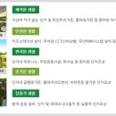 동양마트 이미지